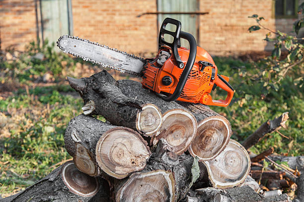 Best Residential Tree Removal  in USA